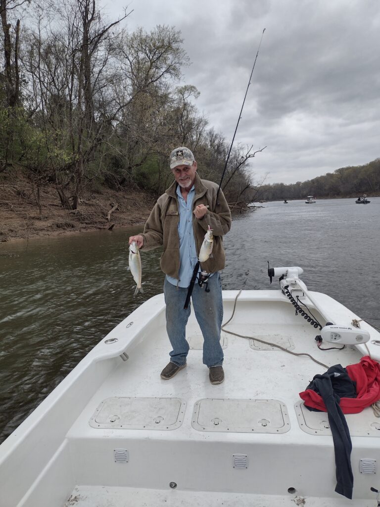 Shad, Roanoke River, Weldon, NC