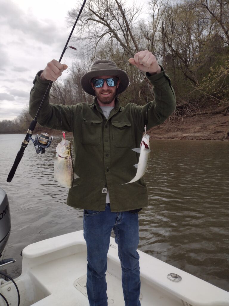 Shad, Roanoke River, Weldon, NC