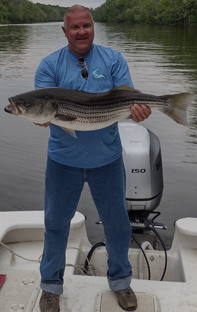 Striper, Roanoke River, Weldon, NC