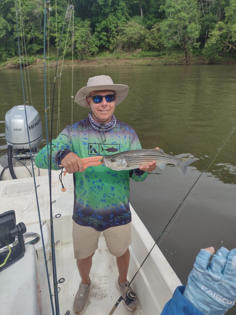 Striper, Roanoke River, Weldon, NC