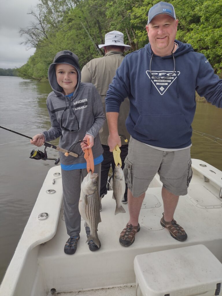 Striper, Roanoke River, Weldon, NC